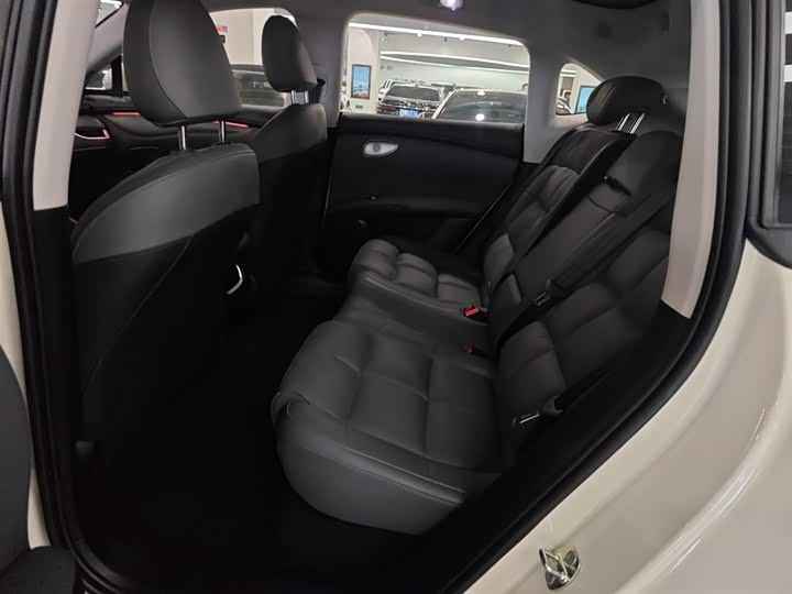 Фото 17 - IM motors LS6