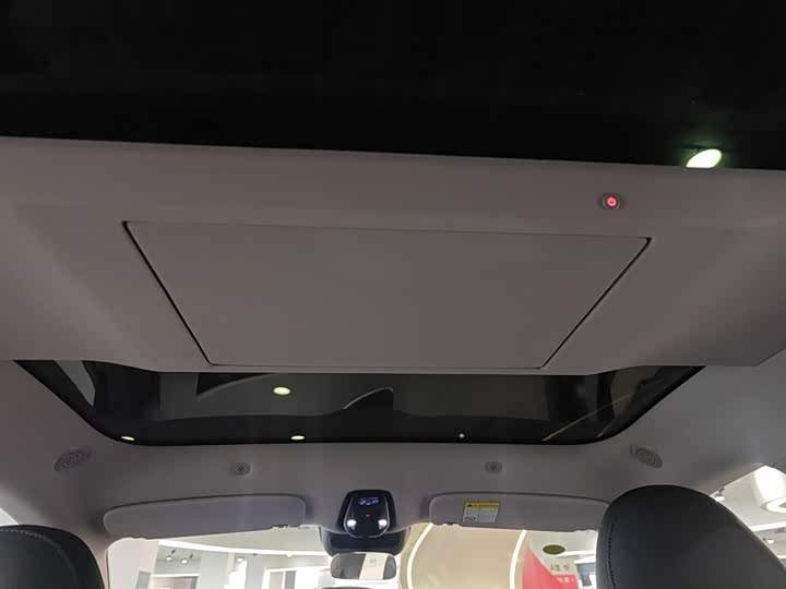 Фото 18 - IM motors LS6