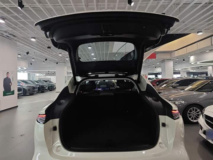 Фото 19 - IM motors LS6