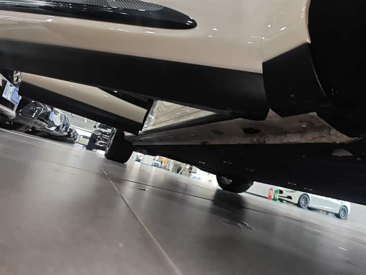 Фото 21 - IM motors LS6