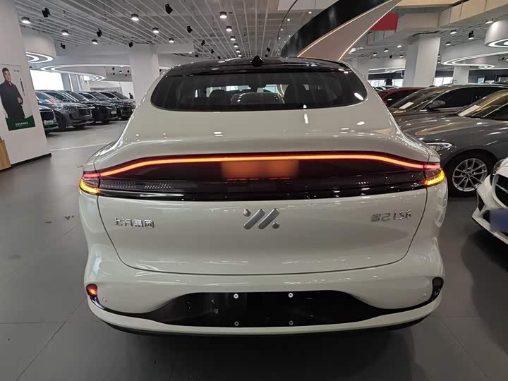 Фото 6 - IM motors LS6