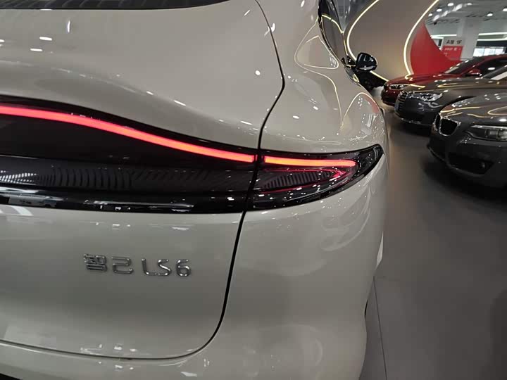 Фото 8 - IM motors LS6