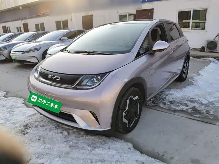 Фото 2 - BYD Dolphin