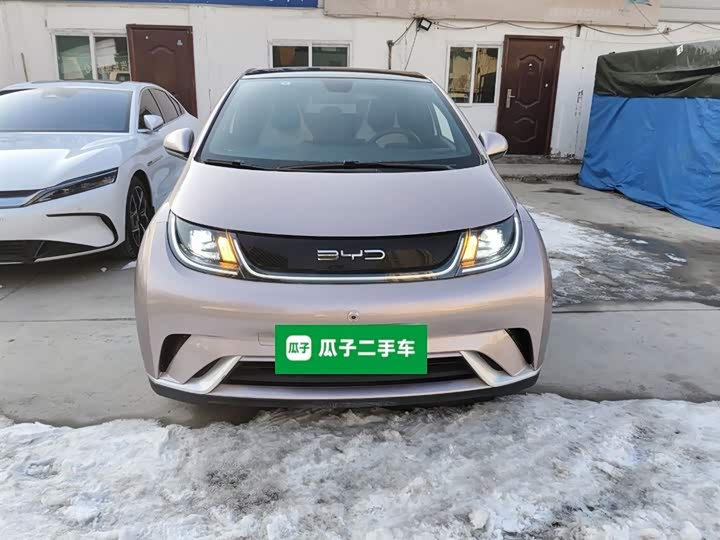 Фото 3 - BYD Dolphin