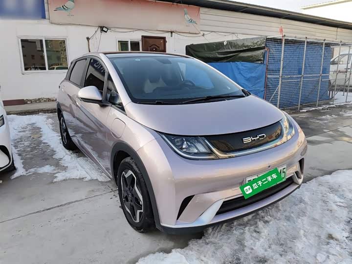 Фото 4 - BYD Dolphin