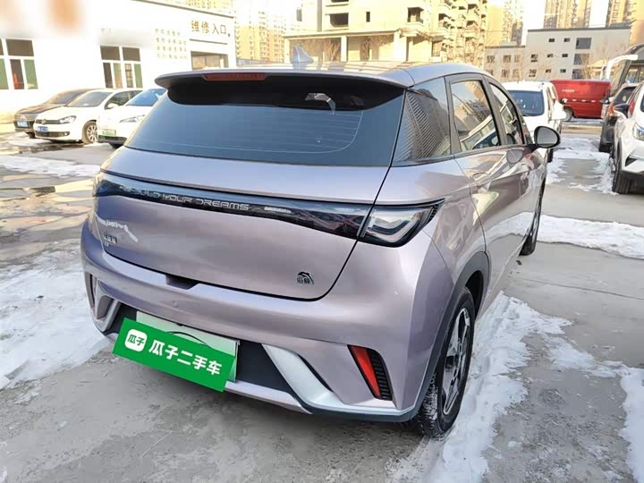 Фото 7 - BYD Dolphin