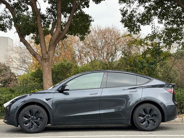 Фото 4 - Tesla Model Y