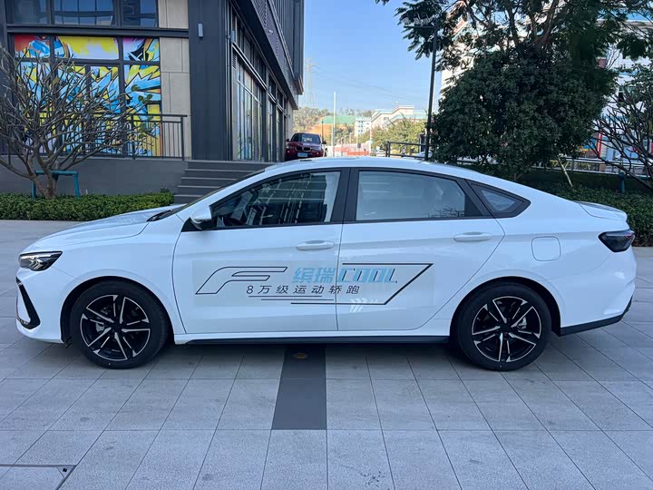 Фото 7 - Geely Binrui