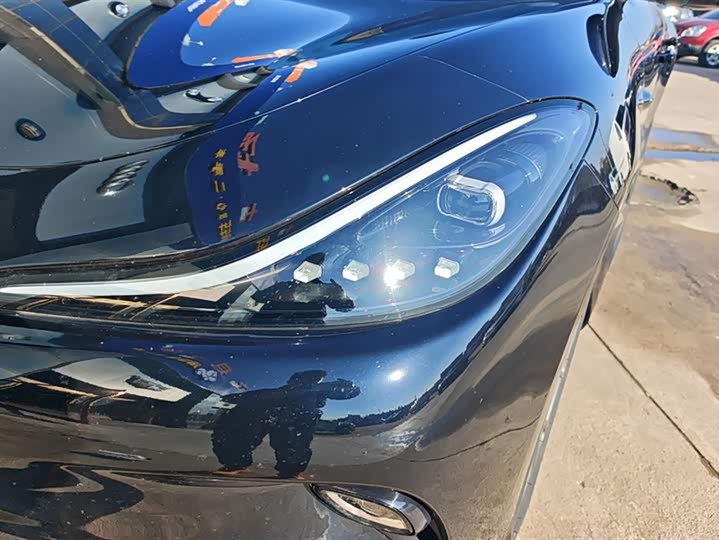 Фото 5 - IM motors LS6