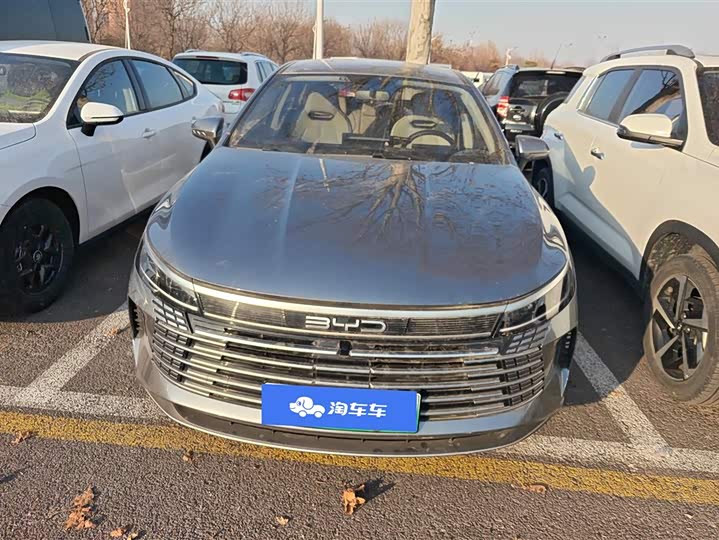 Фото 2 - BYD Destroyer 05