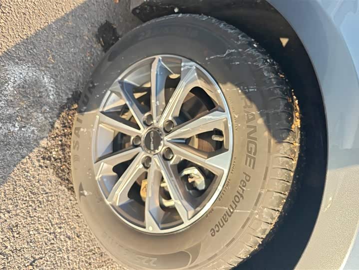 Фото 6 - BYD Destroyer 05