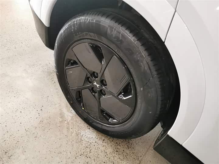 Фото 26 - XPeng G6