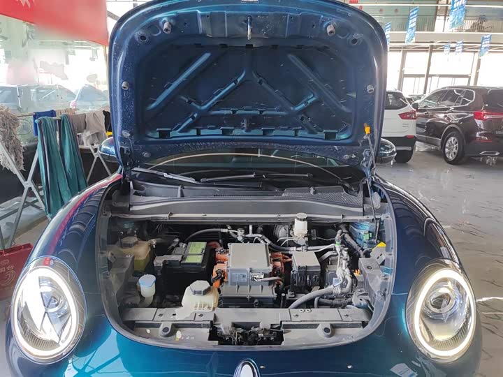 Фото 20 - Ora Good Cat (03)