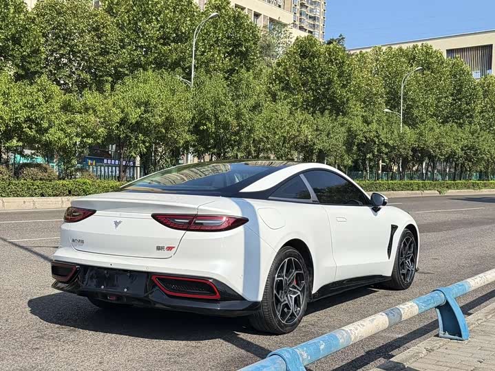 Фото 20 - Hozon GT