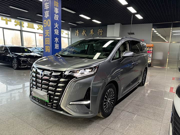 Фото 1 - Denza D9