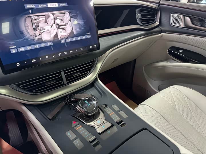 Фото 10 - Denza D9