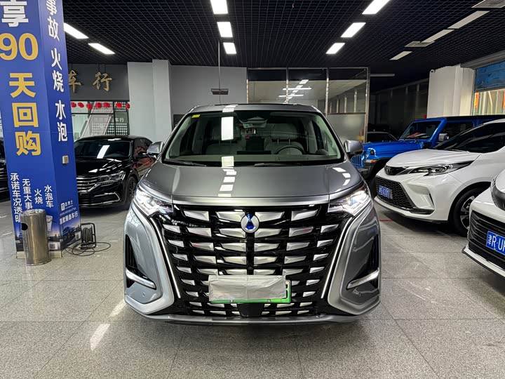 Фото 2 - Denza D9