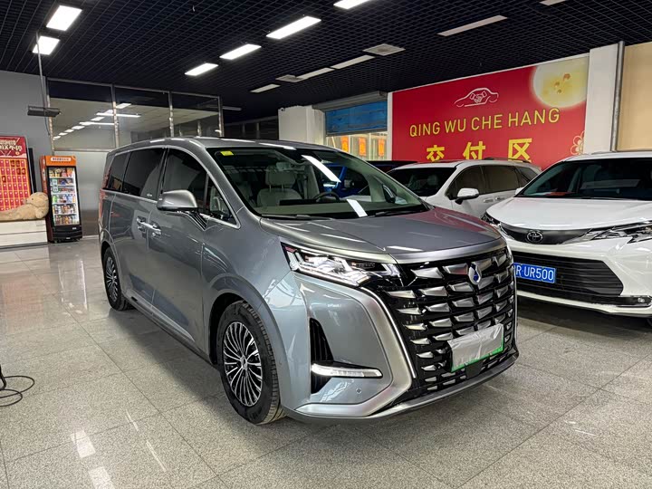 Фото 3 - Denza D9