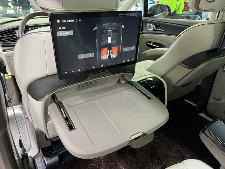 Фото 6 - Denza D9