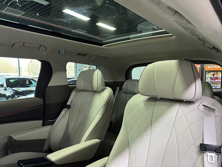 Фото 7 - Denza D9