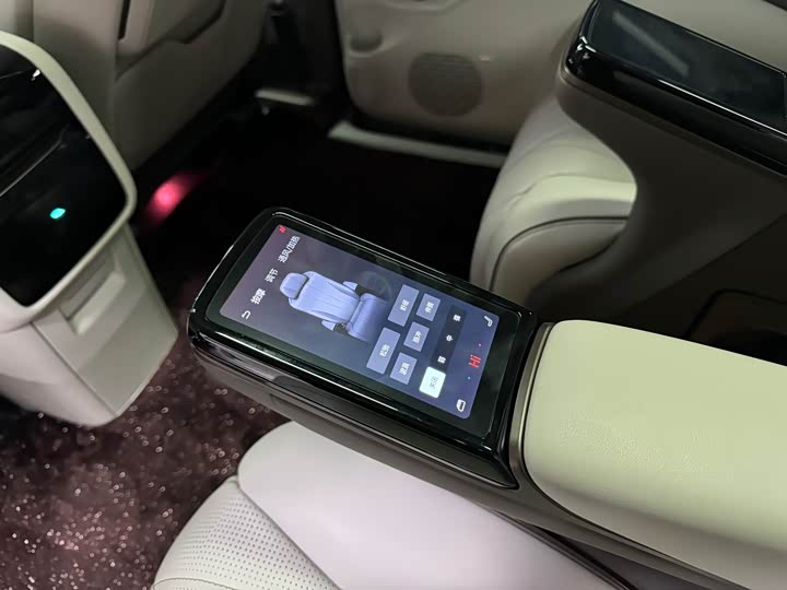 Фото 9 - Denza D9