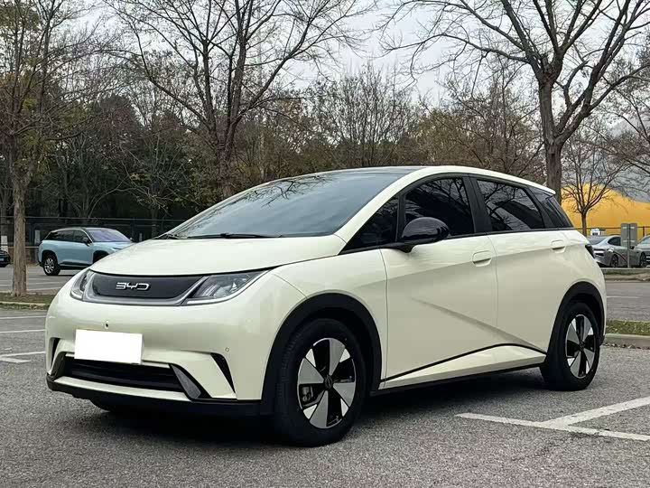 Фото 1 - BYD Dolphin