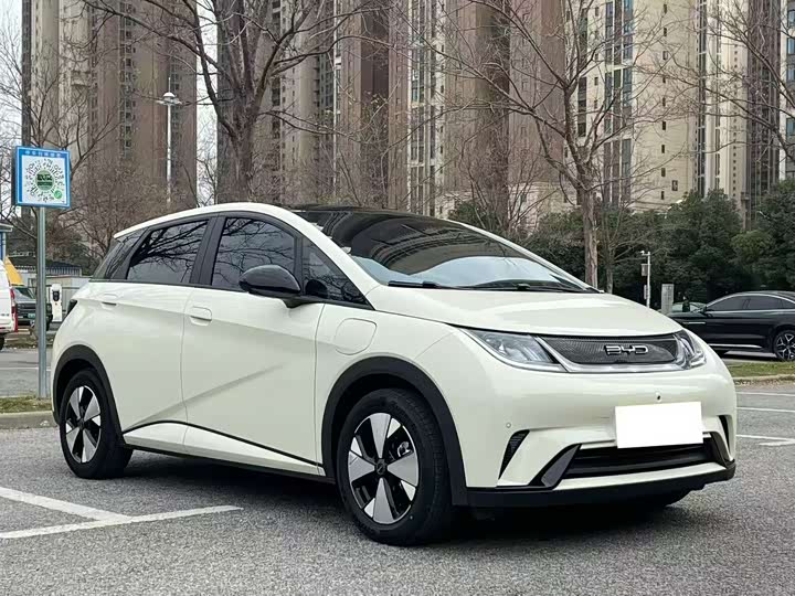 Фото 3 - BYD Dolphin