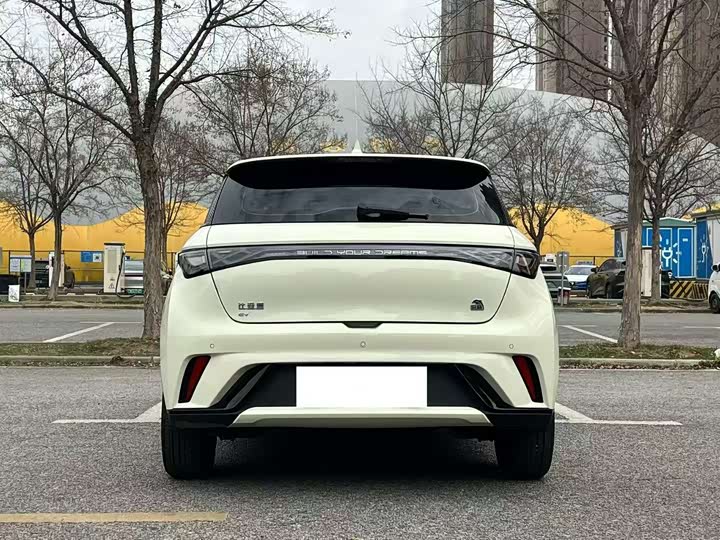 Фото 8 - BYD Dolphin