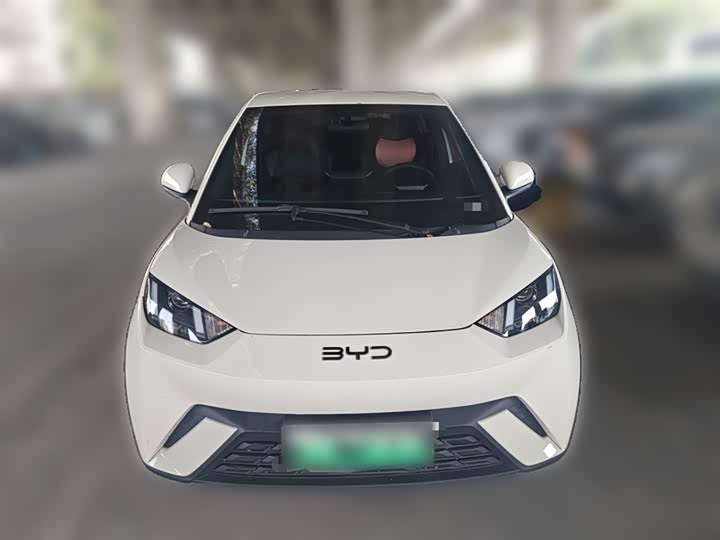 Фото 24 - BYD Seagull