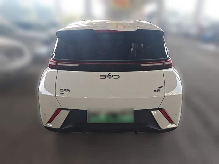 Фото 28 - BYD Seagull