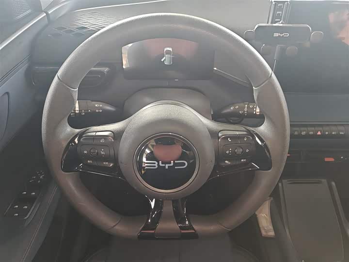 Фото 3 - BYD Seagull