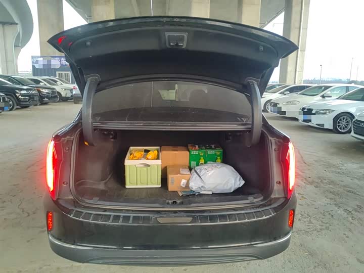 Фото 19 - Hongqi E-QM5