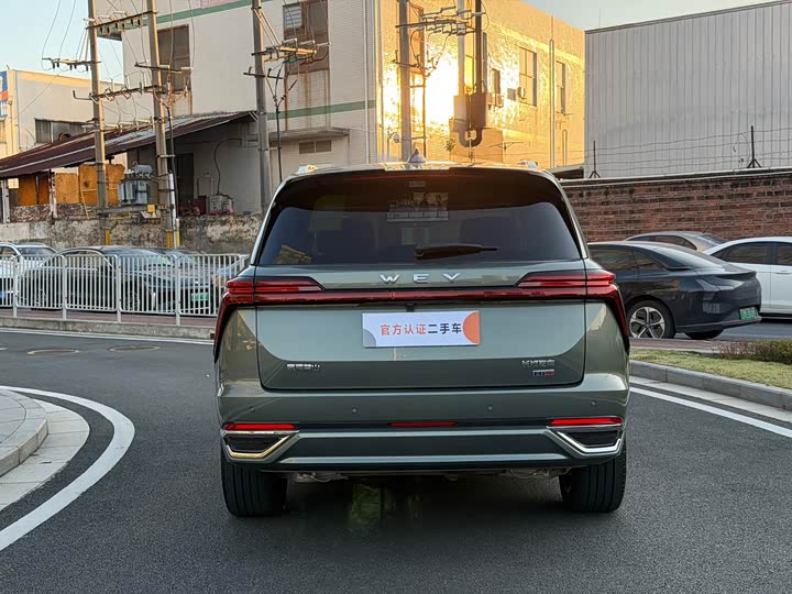 Фото 11 - Wey Lanshan