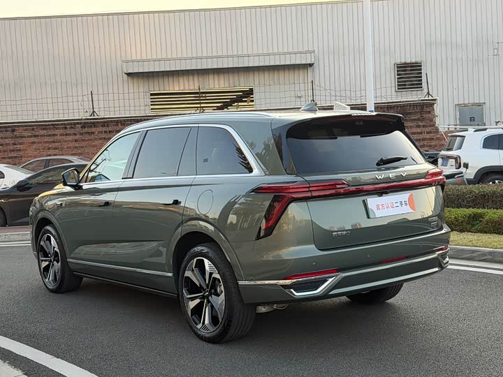 Фото 12 - Wey Lanshan