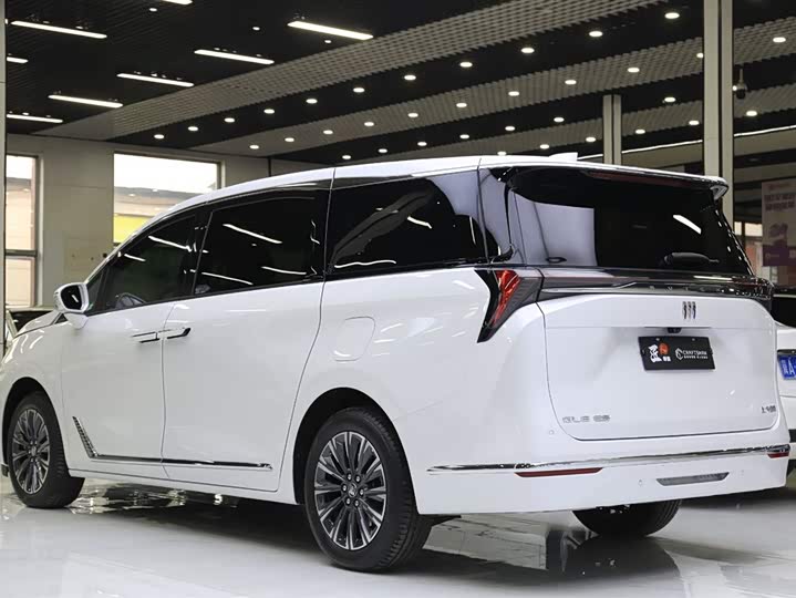 Фото 20 - Buick GL8 ES