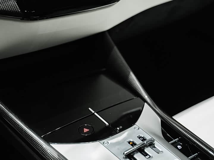 Фото 29 - Ferrari Purosangue