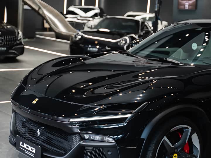 Фото 4 - Ferrari Purosangue