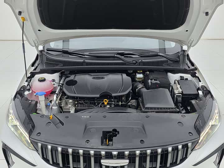 Фото 18 - Geely Binrui