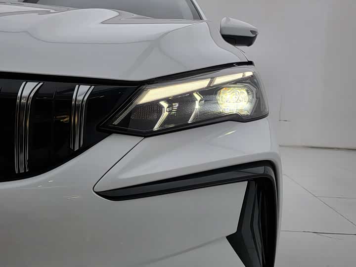 Фото 7 - Geely Binrui