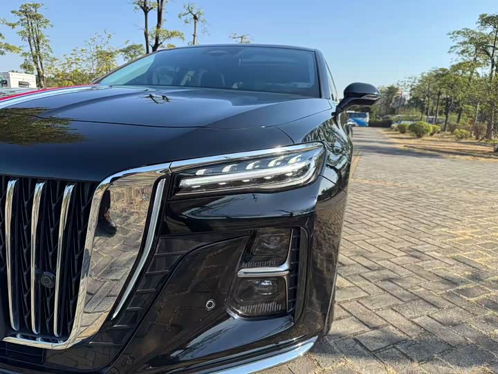 Фото 8 - Hongqi H5