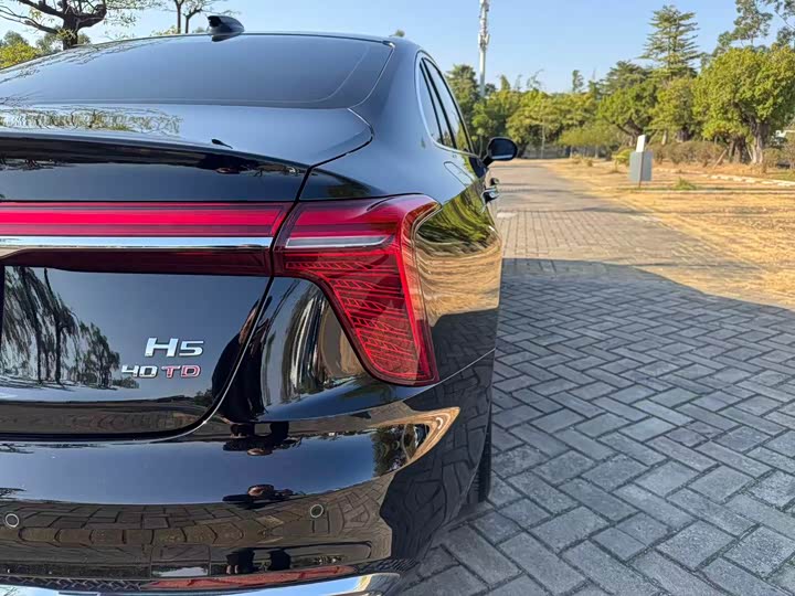 Фото 9 - Hongqi H5