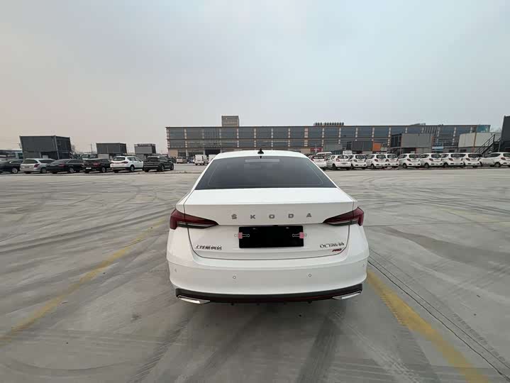 Фото 5 - Skoda Octavia Pro