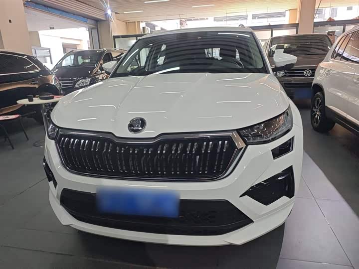Фото 3 - Skoda Kodiaq