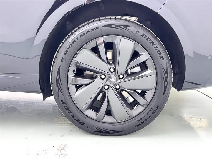 Фото 9 - LiXiang L6