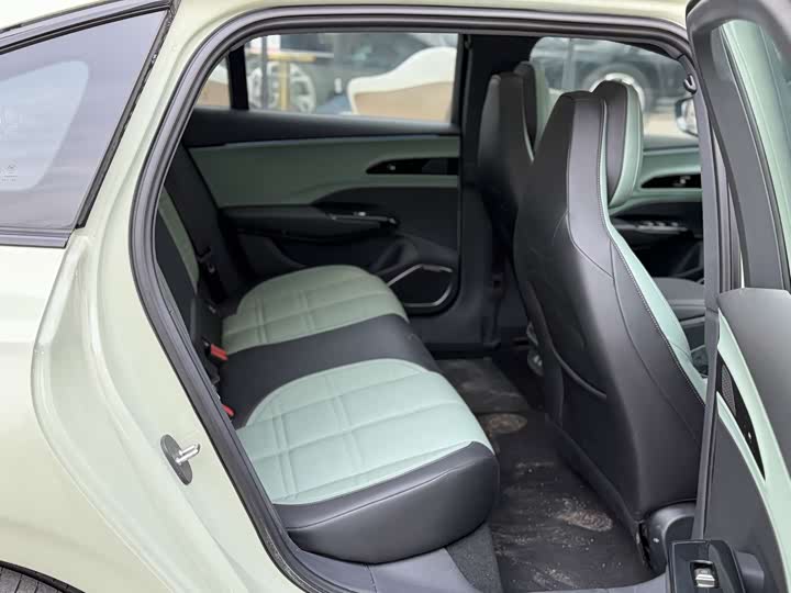 Фото 4 - Hongqi EH7