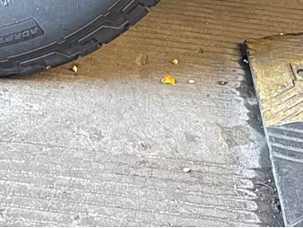 Фото 8 - Great Wall Pao