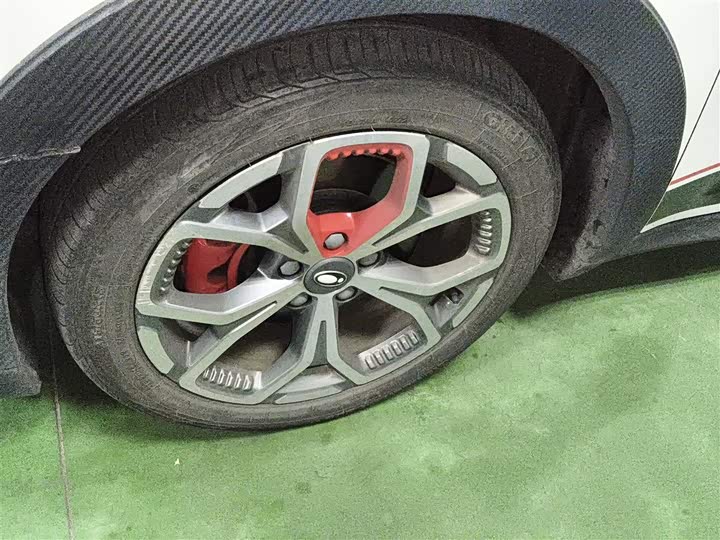 Фото 23 - Ora Good Cat GT (03 GT)