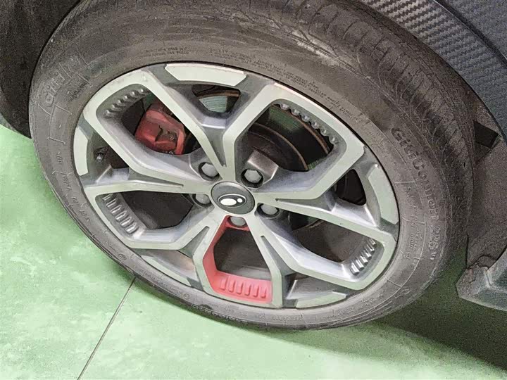 Фото 26 - Ora Good Cat GT (03 GT)