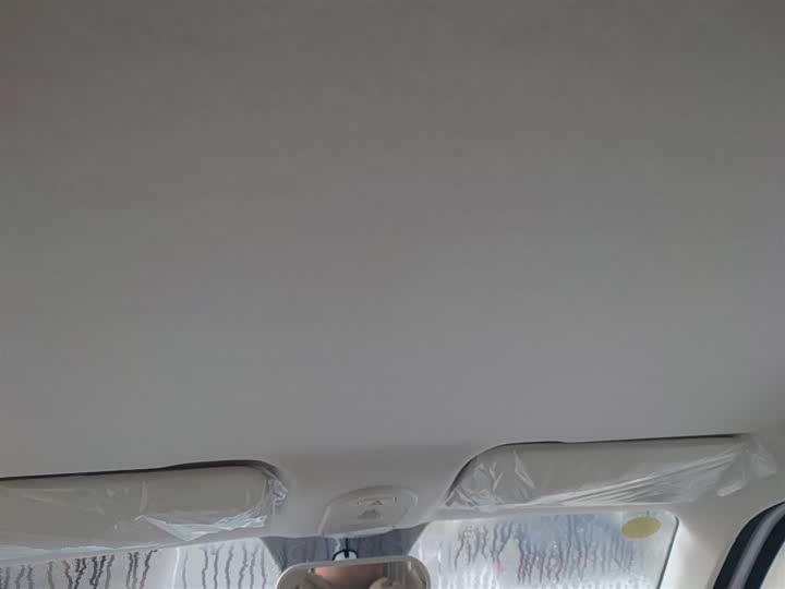 Фото 18 - Bestune Pony