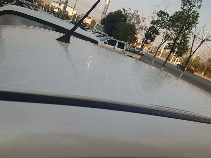 Фото 27 - Bestune Pony